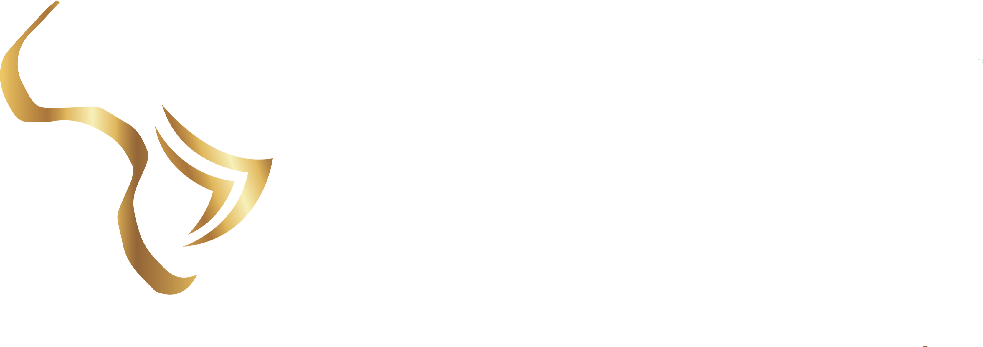 AAI Logo